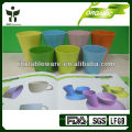 A fibra de bambu recicl a caneca canecas